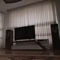 اسپیکر برقی میکرولب