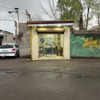 مغازه-بر-جاده-دباغیان