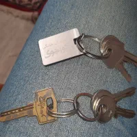 دودسته کلید پیدا شده