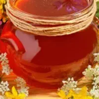 محصولات ارگانیک