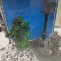 آکواریوم سالم|ماهیگیری|فردیس, شهرک وحدت|دیوار