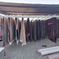 کارخانه قالیشویی سهند|خدمات نظافت|پاکدشت, پاکدشت (مامازند)|دیوار