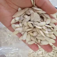 تخمه کدو محلی