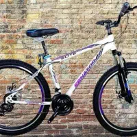 دوچرخه حرفه ای شهری و کوهستانی|دوچرخه، اسکیت، اسکوتر|تهران, مهرآباد جنوبی|دیوار