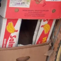 کارتن موزی اسباب کشی