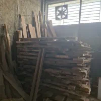 چوب چنار و چوب سفید