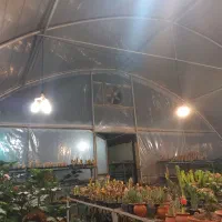 سازه گلخانه گالوانیزه ۹×۹ متر، ۸۱ متر مربع
