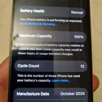 16pro 256 Zaa|موبایل|شیراز, شهرک والفجر|دیوار