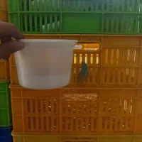 ظرف ماستی|فروشگاه و مغازه|قم, سراجه (۱۵ خرداد)|دیوار