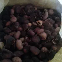 انجیر خشک سیاه
