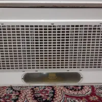 هود|هود|تربت جام, میان جام|دیوار