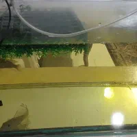 آکواریوم با لوازم جانبی