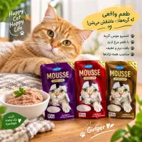 پوچ و موس گربه فنبی