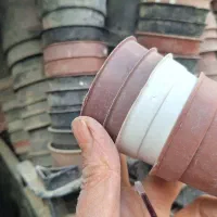 گلدان لاکی کار کرده تمیز|گل و گیاه طبیعی|نیشابور, مدرس|دیوار