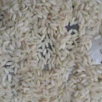 برنج عنبر بو امسالی قیمت عمده