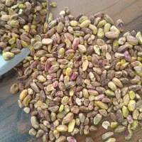 گندمی مغز پسته و درجه دو