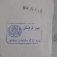 بلیط استخر فجر|بلیت|نیشابور, تریا پارک|دیوار