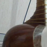 تار حرفه ای|سازهای سنتی|شیراز, هفت تنان|دیوار