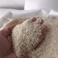 برنج درجه یک گلستان|خوردنی و آشامیدنی|گرگان, |دیوار