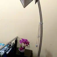 آباژور در حد نو