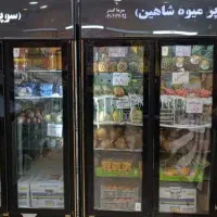 فروش یخچال مغازه|فروشگاه و مغازه|شیراز, چوگیاه|دیوار