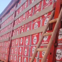 کبریت مشکین