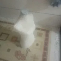 شش عدد مانکن زنانه