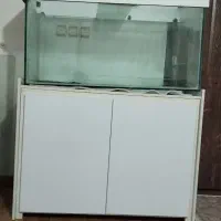آکواریوم حرفه ای