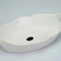 دیس پذیرایی غذا