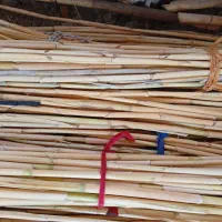 برای تکی و جفتی