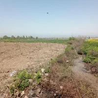باغ انار جعفرآبادملک معاوضه با آپارتمان یا خودرو|فروش دفتر صنعتی، کشاورزی، تجاری|گرگان, |دیوار