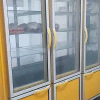 یخچال مرغی|فروشگاه و مغازه|جم, |دیوار