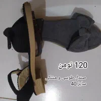 کفش زنانه|کیف، کفش، کمربند|لامرد, |دیوار