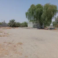 خونه-فروشی