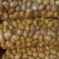 فروش سیب زمینی عمده