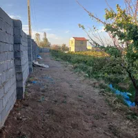 باغ انگور  ۸۵۰۰ متر چهاردیواری