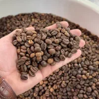 پخش مستقیم دان قهوه