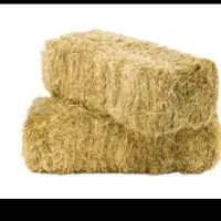 کاه و کلش خشک هاشمی