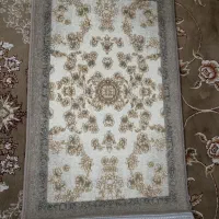 پادری نو