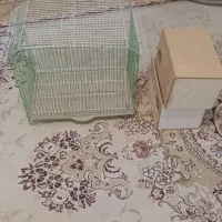 قفس پرنده