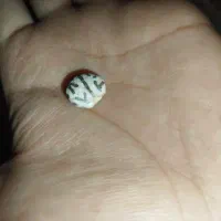 مهره  عطف کهن اصل قدیمی تسبیح