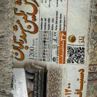 فرش ۱۲متری -کناره ۳متری و پشتی|فرش|قم, قلعه عموحسین|دیوار