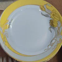 چینی|ظروف سرو و پذیرایی|زنجان, |دیوار