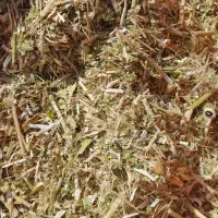 کاه ماشک و لوبیا|خدمات باغبانی و درختکاری|دهدشت, |دیوار