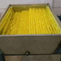 تولیدی نبات