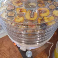 میوه خشک کن کلورانس با کارتن|سایر لوازم برقی|صدرا-فارس, فاز ۱|دیوار