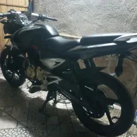 پالس ۱۳۵|موتورسیکلت|شیراز, دباغ خانه|دیوار