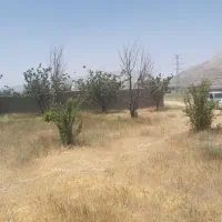 یک قواره زمین در دشت ارژن