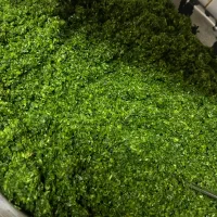 سبزی سرخ شده مرغ ترش و انار بیج و