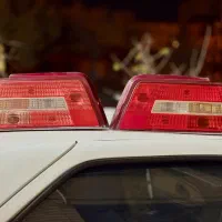 جفت خطر عقب slx